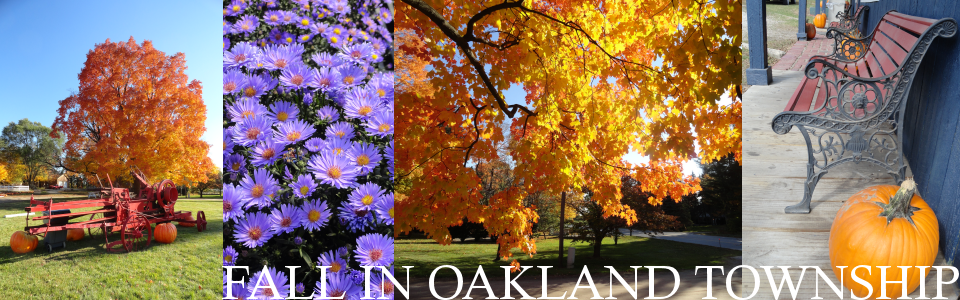 Fall in Oakland Township, Michigan